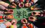关于粮食节约的演讲稿5篇