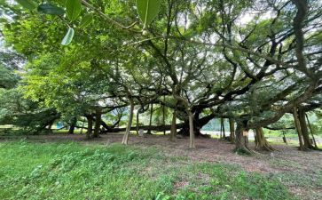 游漓江心得体会8篇
