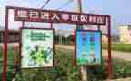 大班垃圾分类教案优秀6篇