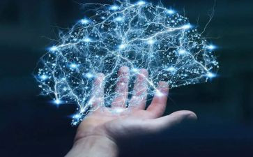 科学领域活动鱼教案6篇