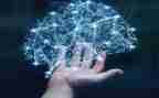 科学领域活动鱼教案6篇