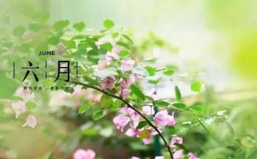 六月生产安全心得体会7篇