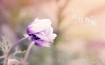 中班六月份月计划6篇