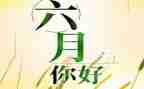 六月份教师工作月总结5篇