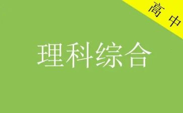 理综组教研工作总结8篇