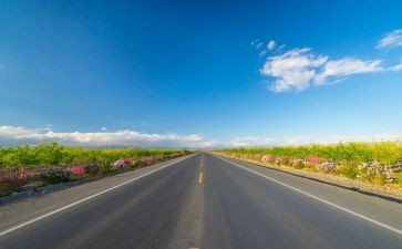 道路交通安全工作总结7篇