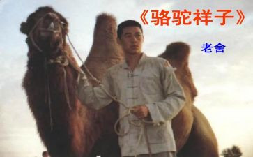 骆驼祥子的读后感300字5篇