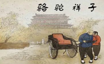 骆驼祥子卖骆驼读后感最新7篇