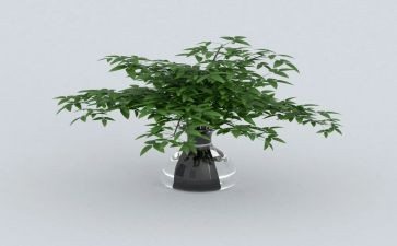 《绿》读后感400字最新8篇