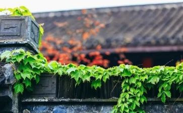 大学生慢就业调研报告8篇