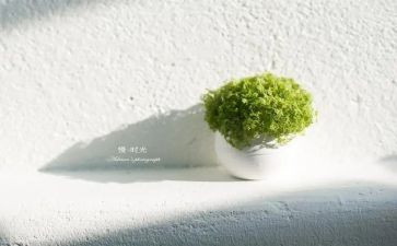 关于慢活的演讲稿5篇