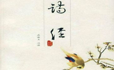 《氓》的观后感优秀8篇