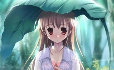 漫画我的老师作文推荐7篇