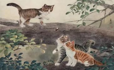 猫的读后感日记300字7篇