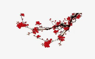 梅花精神作文6篇