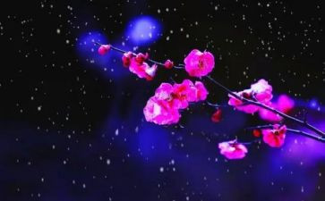 梅花精神的演讲稿5篇