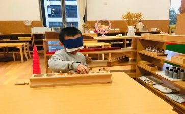蒙氏工作计划与总结精选6篇