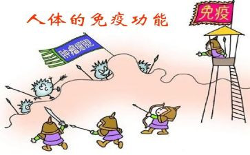 卫生院计划免疫工作计划5篇