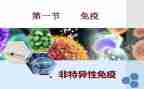 计划免疫年终总结5篇