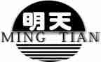 明天的我作文500字作文7篇