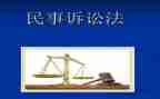民事申请书范文模板6篇