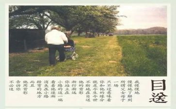 有关于写目送的读后感7篇