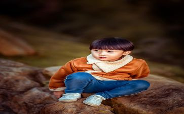 树和男孩的故事的读后感5篇