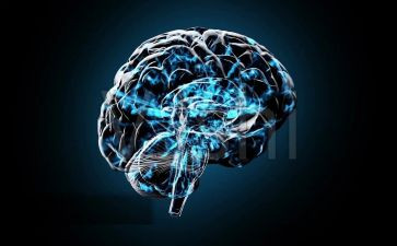 电脑活动总结5篇