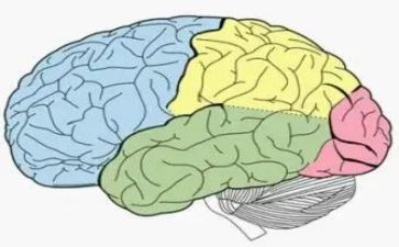 关脑袋木头桩的读后感8篇