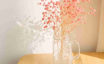 年华的作文通用8篇