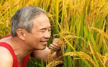 蛇与农夫读后感8篇