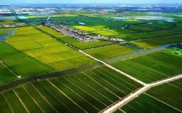 2024年农业工作总结范文6篇