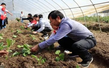 助理农艺师年终总结5篇