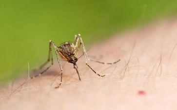 疟疾宣传活动总结5篇