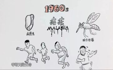 疟疾日宣传活动总结5篇