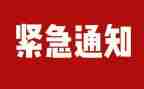 总结排查工作总结精选8篇