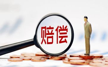 村赔偿款申请书7篇