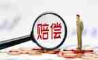 村赔偿款申请书7篇
