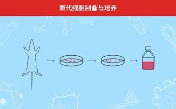 培养期的思想汇报8篇