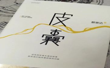皮囊小说读后感7篇