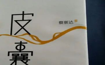 皮囊读后感600字8篇