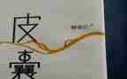 皮囊读后感600字8篇