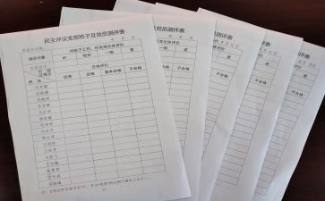 团员评议工作总结5篇
