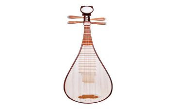 琵琶教案优秀5篇