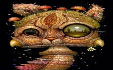 牧羊少年奇幻之读后感通用8篇