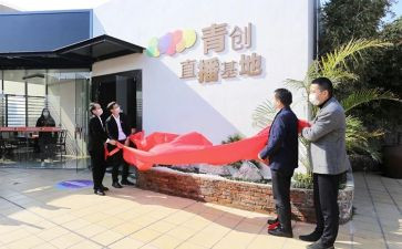 青创讲座观后感优质8篇
