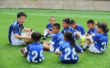 教师青训工作计划模板8篇