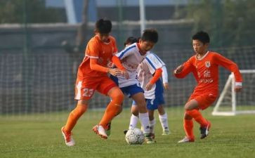 教师青训工作计划6篇
