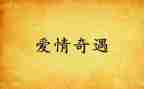默奇遇记读后感最新5篇