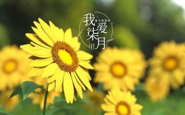 七月份个人总结5篇